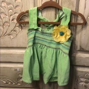 Lime green dog dress